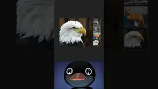 Image Gallery with 3D Flip Animation