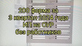 200 форма за 3 квартал 2024 года ИП на ОУР без работников, РК