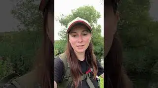 Early Morning Chub Fishing 🤩
