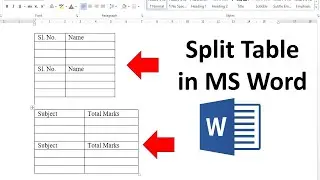 How to Split Table in MS Word | 2 Ways to Split Table in MS Word