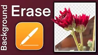 How to Erase Photo Background on iPhone iPad Through Pages App