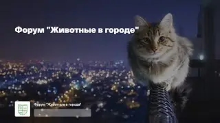 Форум 