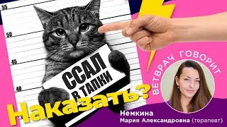 Кот писает в тапки. Надо наказать?