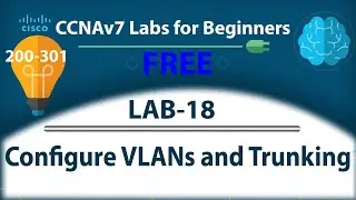 Configure VLANs and Trunking - Lab18 | Free CCNA 200-301 Lab Course