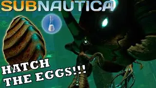 Subnautica: EASIEST Way To Get Hatching Enzymes For The Sea Emperor!