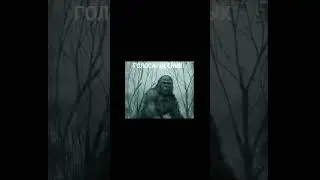 Spooky voice of Bigfoot | Ужас! Голоса Лесных Существ #мистика #bigfoot #экспедиция