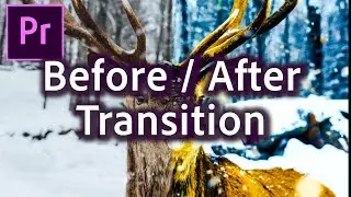 How to Make Before and After Transition Effect in Premiere Pro CC 2020 Video Tutorial