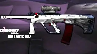 CS:GO | AUG - Arctic Wolf