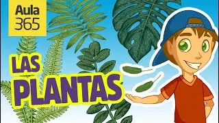 Partes de las Plantas y la Fotosíntesis | Videos Educativos para Niños