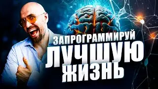 Нейронные связи. Как правильно завести новые полезные привычки и изменить жизнь к лучшему