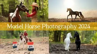 Model Horse Photography Summer 2024