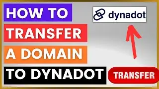 How To Transfer A Domain To Dynadot? [in 2024]