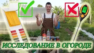 КАК ОПРЕДЕЛИТЬ КИСЛОТНОСТЬ ПОЧВЫ НА СВОЕМ ОГОРОДЕ ИЛИ УЧАСТКЕ? #кислотностьпочвы#изстолицывдеревню