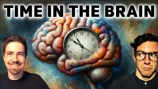 Where is NOW in the Brain? The Neuroscience of Time (The Social Brain ep 40)