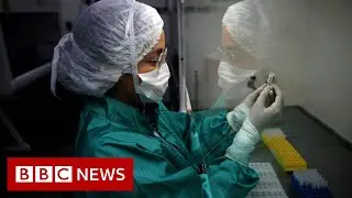 Coronavirus: What is a pandemic and why use the term now?  - BBC News