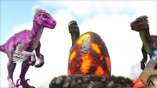 WE STEAL A SPINO EGG TO HATCH AND RAISE | PLAY AS DINO | ARK SURVIVAL EVOLVED