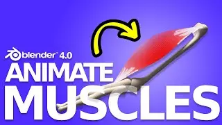 Create Dynamic Muscle Rigs In Blender 4.0