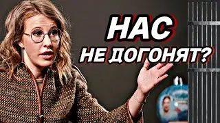 УШЛА ПО АНГЛИЙСКИ / КАК ХИТРАЯ СОБЧАК СБЕЖАЛА ИЗ РОССИИ и ЧТО ЖДЕТ ЕЕ ДАЛЬШЕ?