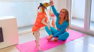 Unscripted Comedy at Home! 🤣 Watch a Playful Pup Interrupt a Workout!