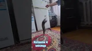 #хит
