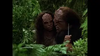 The Skills of the Hunt (TNG: Birthright, Part II)
