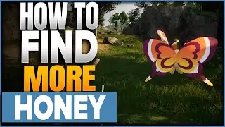 Where To Find Honey In Palworld