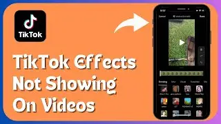 How to Fix ‘TikTok Effects Not Showing on Videos’ 2024
