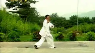 Bagua Zhang Zou Shen Zhang