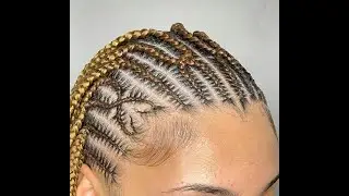 8Video Guru 20231027 140314525