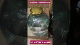 ЗАЛИВАЮ ЧАЧУ В ДУБОВУЮ  БОЧКУ 30л #самогон #чача #бочка