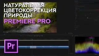 Уроки натуральной цветокоррекции природы на примере Blackmagic Pocket 4K Cinema Camera в PremierePro