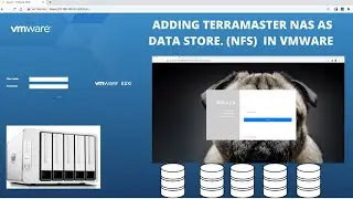 Adding TerraMaster NAS  (NFS Share ) to VMware esxi as Datastore