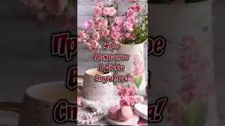 Доброго утра и прекрасного дня!