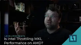 Is Intel Throttling MKL Performance on AMD?