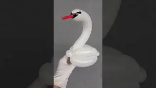 Balloon Animals for Beginner Swan #balloonanimals #balloonart #swan