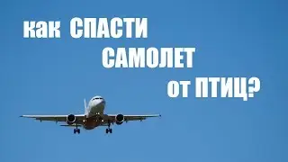 Как спасти самолет от птиц?