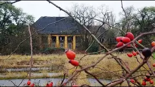 В День  ракетных войск и артиллерии у столовой в/ч47279,50346,50319,25477 19.11.2024. Altes Lager