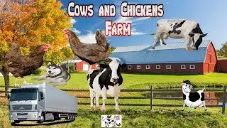 Cows and Chickens Farm for Android   SoRSoft Games   Family Friendly game