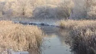 BEFORE THE SPRING COMES... (voice project)