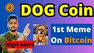 DOG Meme On Bitcoin | 1st Meme | Dog Update & Price Prediction