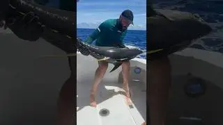 Как поднять эту рыбу? 