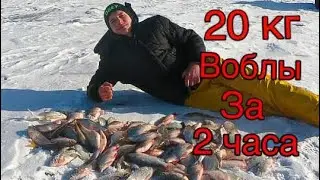 ОТЛИЧНЫЙ КЛЕВ ВОБЛЫ , 20 КГ ВОБЛЫ ЗА 2 ЧАСА !!!!!