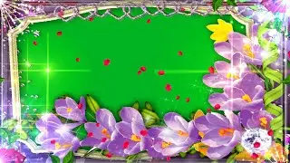Beautiful 3D Green screen animation || Shaadi Beautiful Green Screen Video Background Video