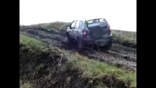 СД. Неотвратимость Шнив