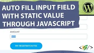 How to Auto Fill Input Field With Static Value in Form Through JS in WordPress