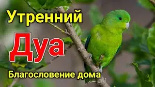 утренний дуа. дуа каждое утро