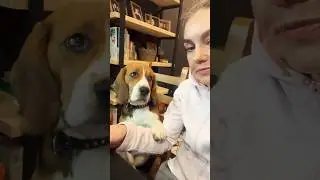И мне пофиг, чё вы там думаете😆😂
