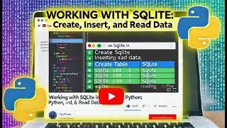 Working with SQLite in Python: Create, Insert, and Read Data