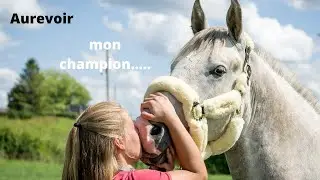 j'ai une mauvaise nouvelle.. 💫
