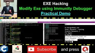 Exe Hacking - Modify the executable using Immunity Debugger - Practical Demo of By Pass Password